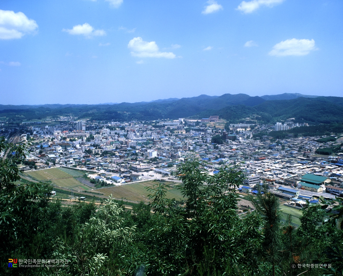 의성읍 전경