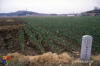 군산 내흥동패총 전경