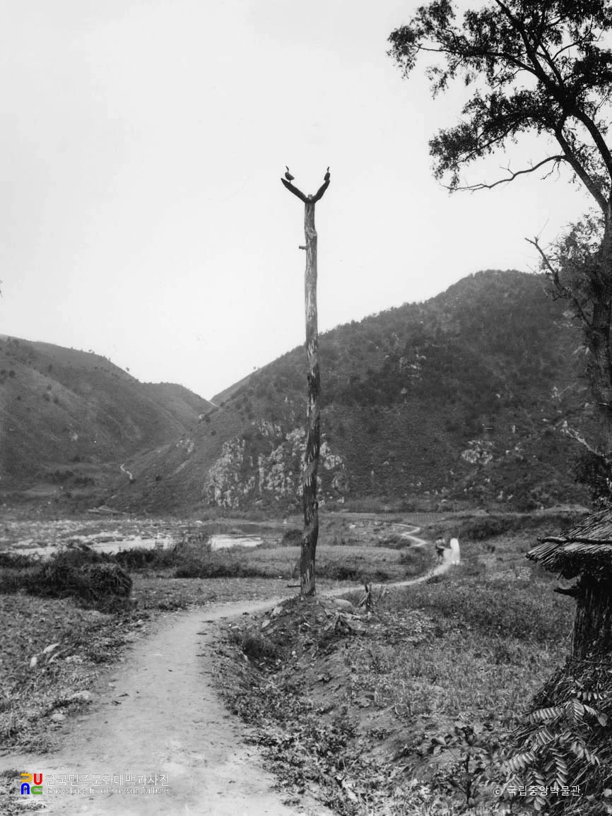 강원 정선 임계 솟대