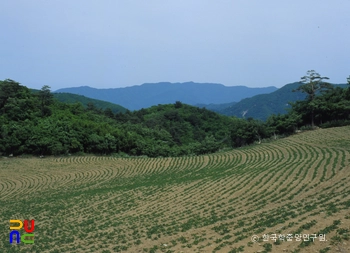 온라인카지노추천