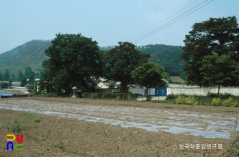 함평 향교리 느티나무·팽나무·개서어나무 숲