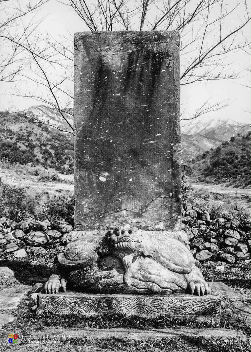 김제 금산사 혜덕왕사탑비 정면