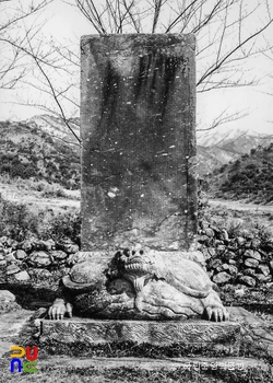김제 금산사 혜덕왕사탑비 정면