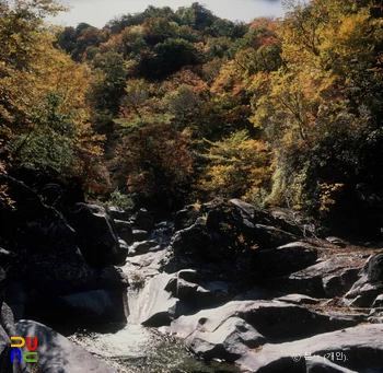 지리산 피아골 단풍