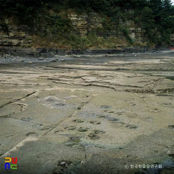 고성 덕명리 공룡과 새 발자국 화석산지