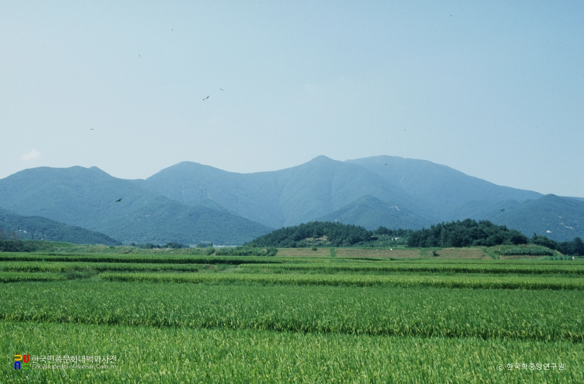 고헌산