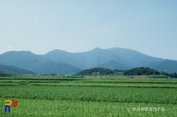 고헌산