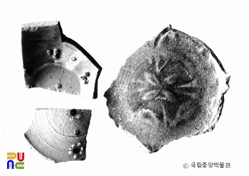 부안 유천리 제2호 요지 출토 청자편