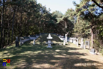 이완장군 묘