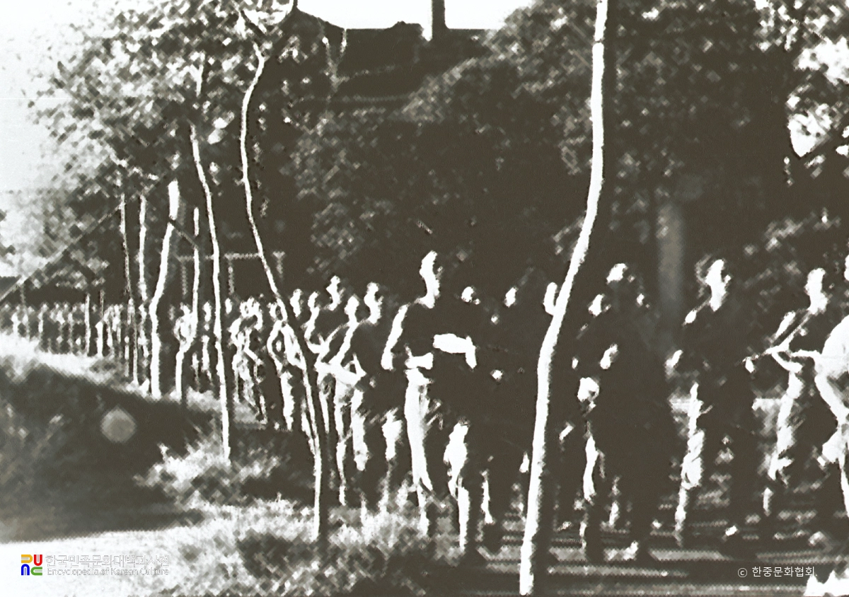 광복군 전투체조