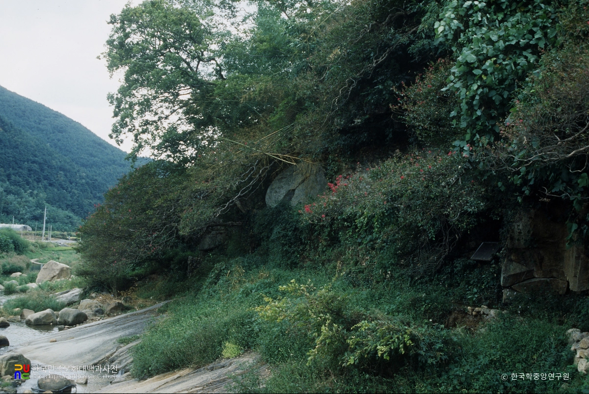 창녕 사리 배롱나무군