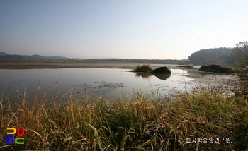 창녕 우포늪 천연보호구역