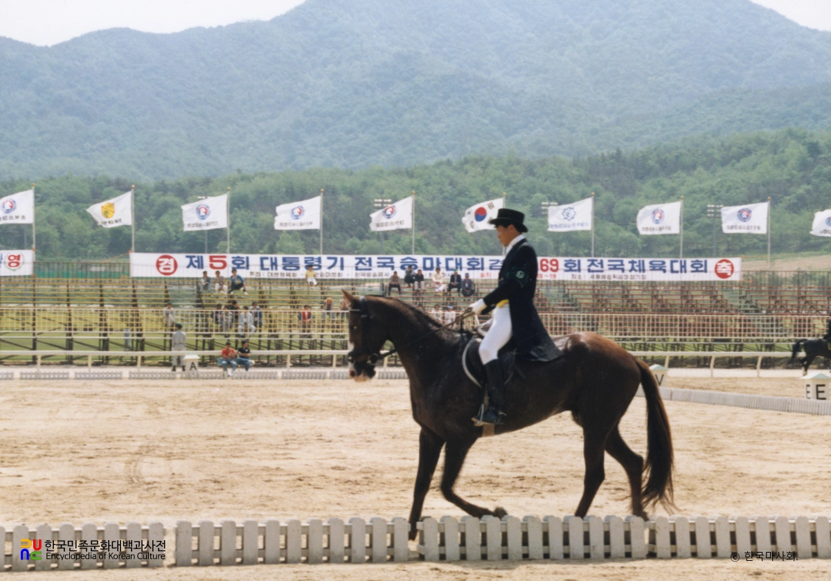 마장마술