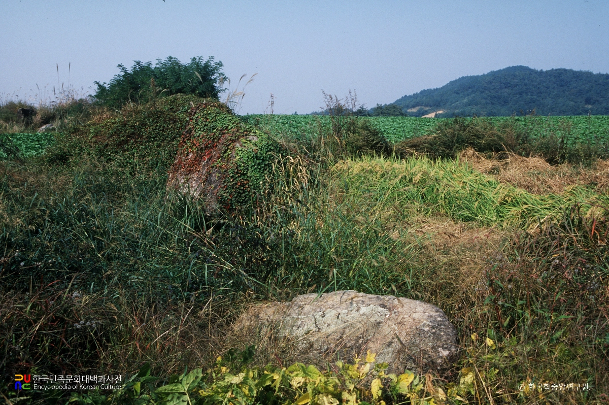 영암 장산리 지석묘군