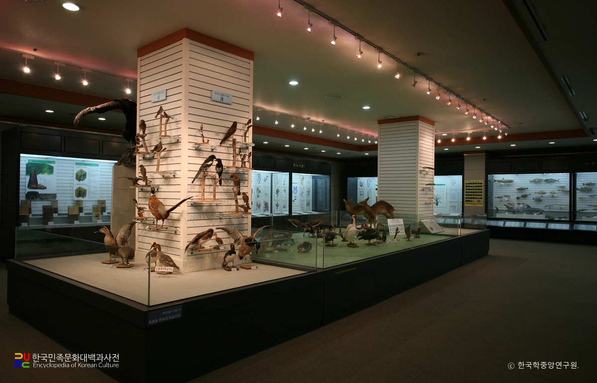 충남대학교 자연사박물관