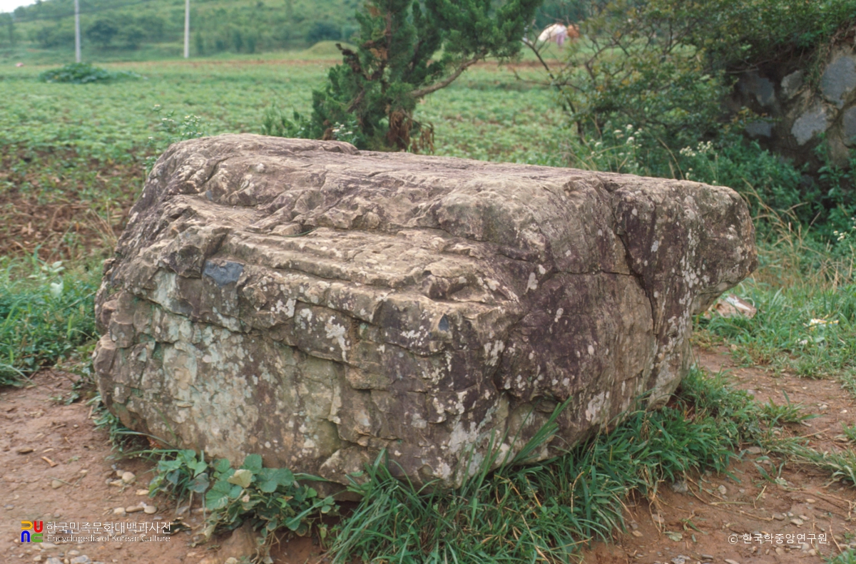 고성 양촌리 고인돌