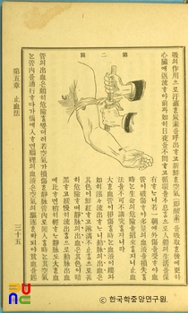 정선가정구급방