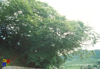 거제 시방리 팽마카오 슬롯