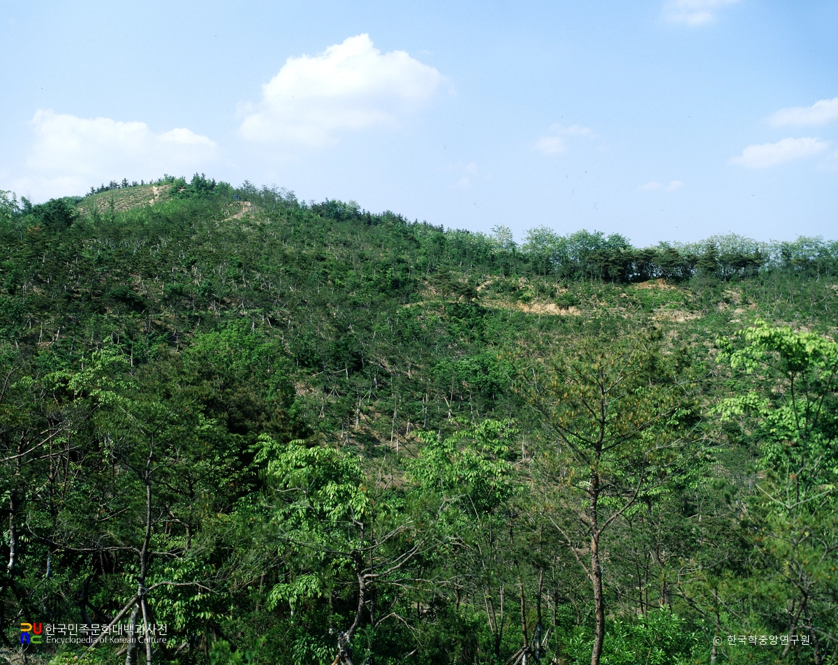 경주 충효동 고분군