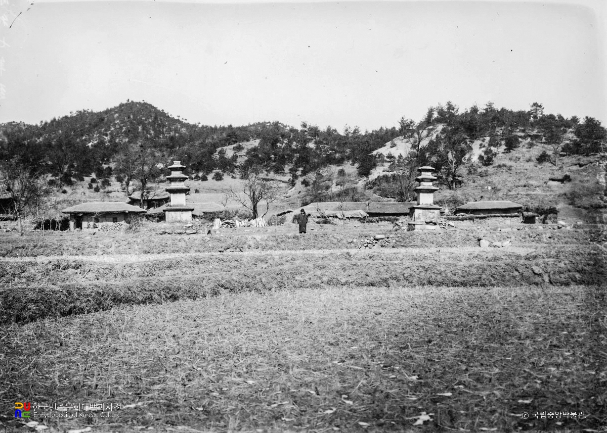 봉화 서동리 동서 삼층석탑 전경