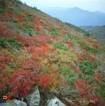 설악산 천연보호구역 마등령 단풍