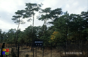 서울대학교 농대 연습림