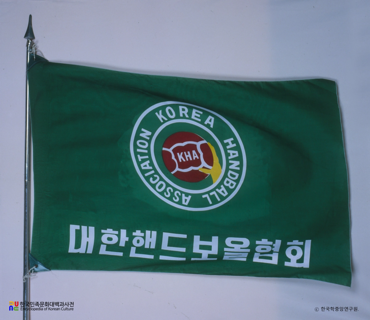 대한핸드볼협회 기