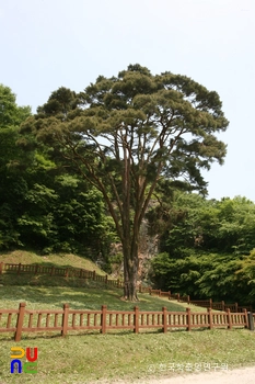 고창 선운사 도솔암 장사송