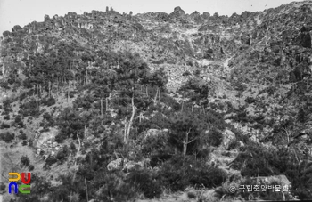 경주 남산 일원 중 약수곡 사지 전경
