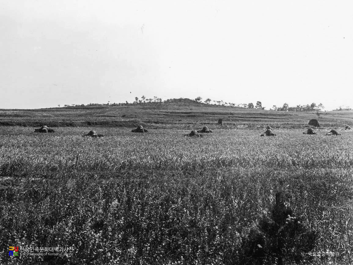 평양 고산동 9호분