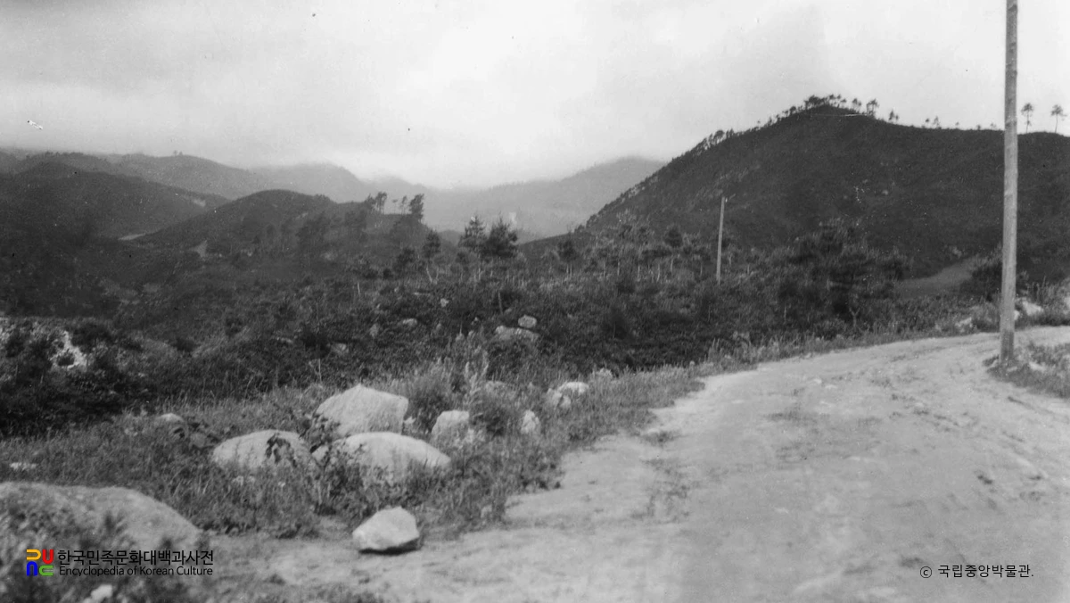 강원 강릉 대관령 옛길