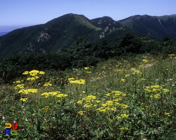 소백산