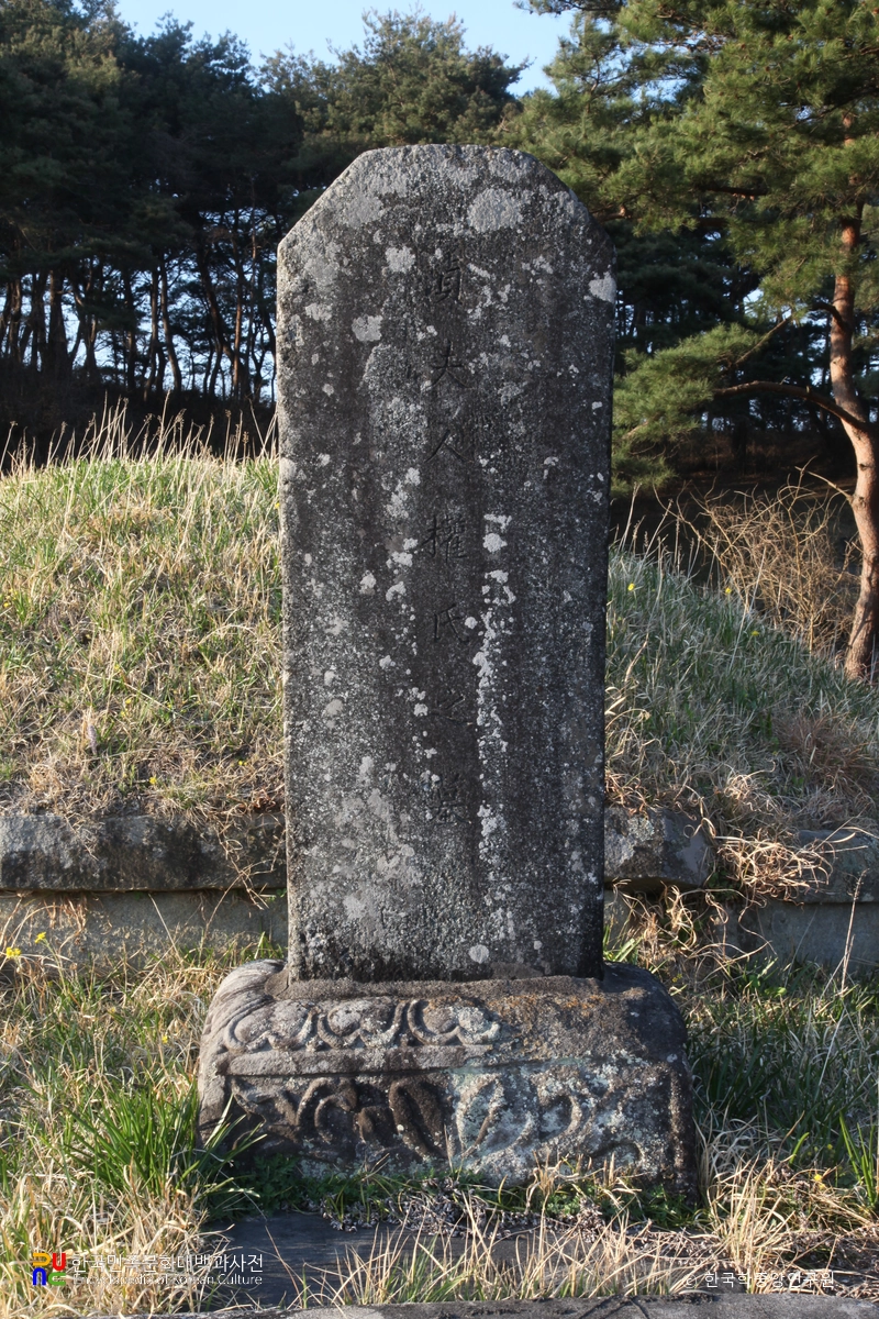 함양 평촌리 옥계 부부 묘표