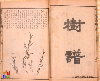 개자원화전