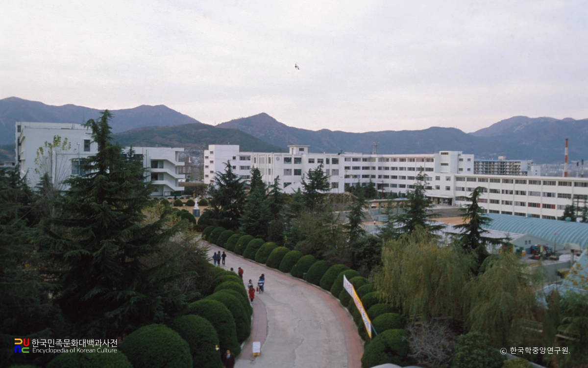 부산여자대학교