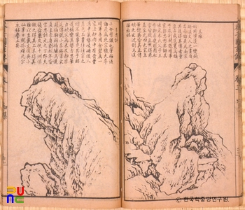 개자원화전