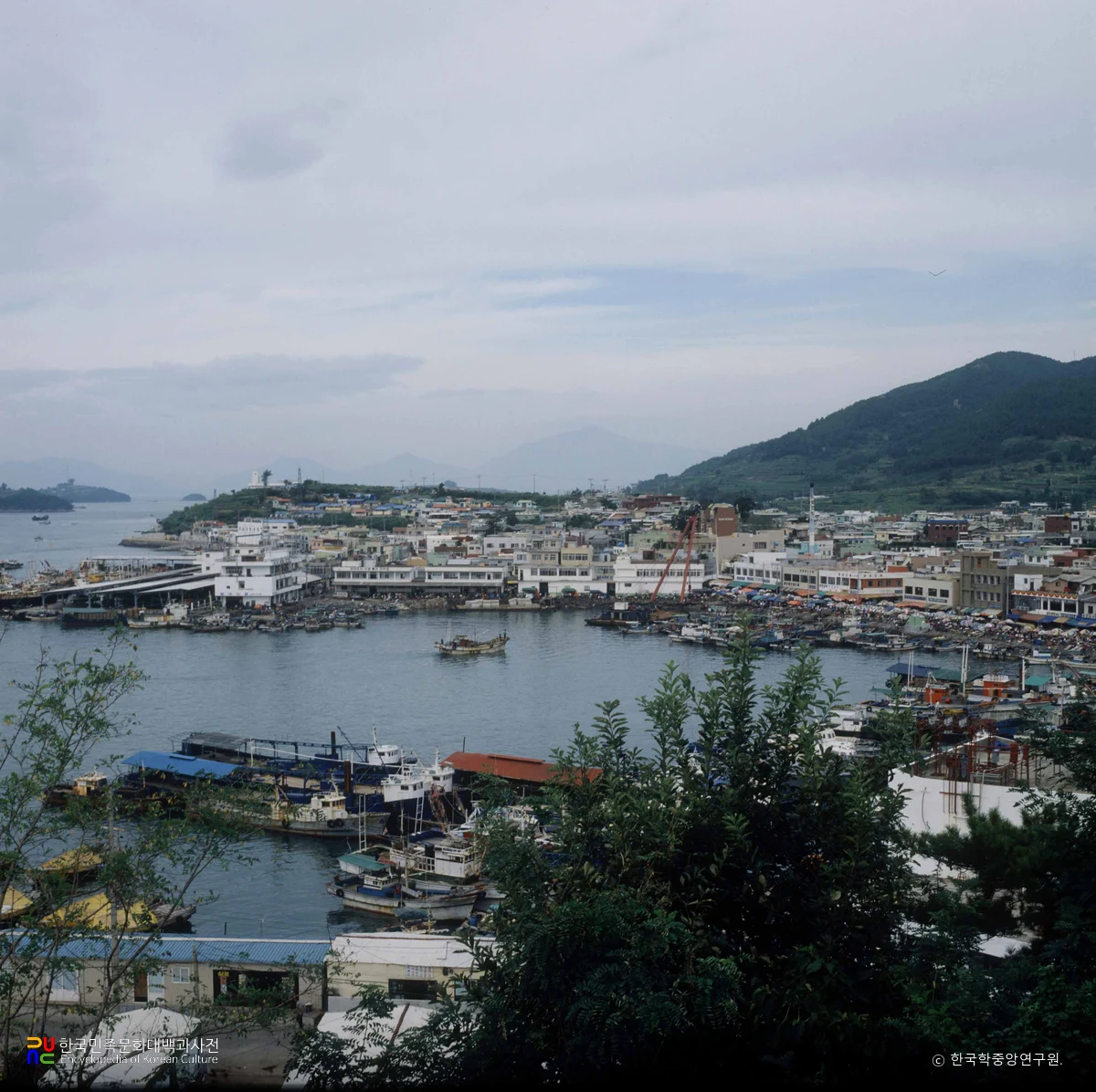 삼천포진