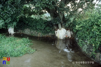 북제주 세화리 본향당