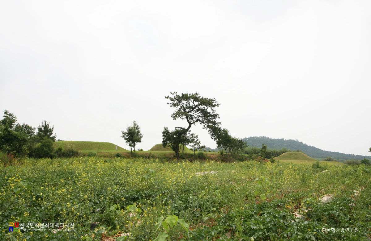 나주 반남 고분군 전경
