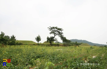 나주 반남 고분군 전경