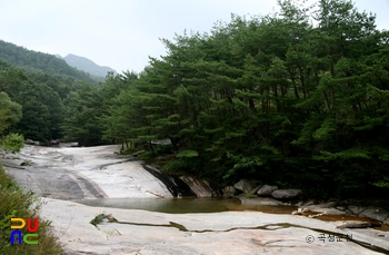 곡성 도림사 계곡