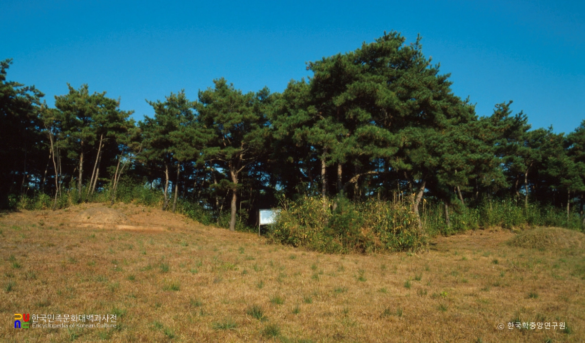 은선리 고분군