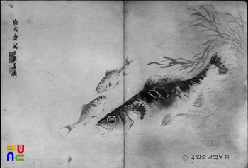 비디오 슬롯필 궐어도