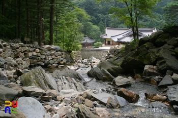 정선 정암사 열목어 서식지