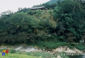 창녕 사리 배롱나무군