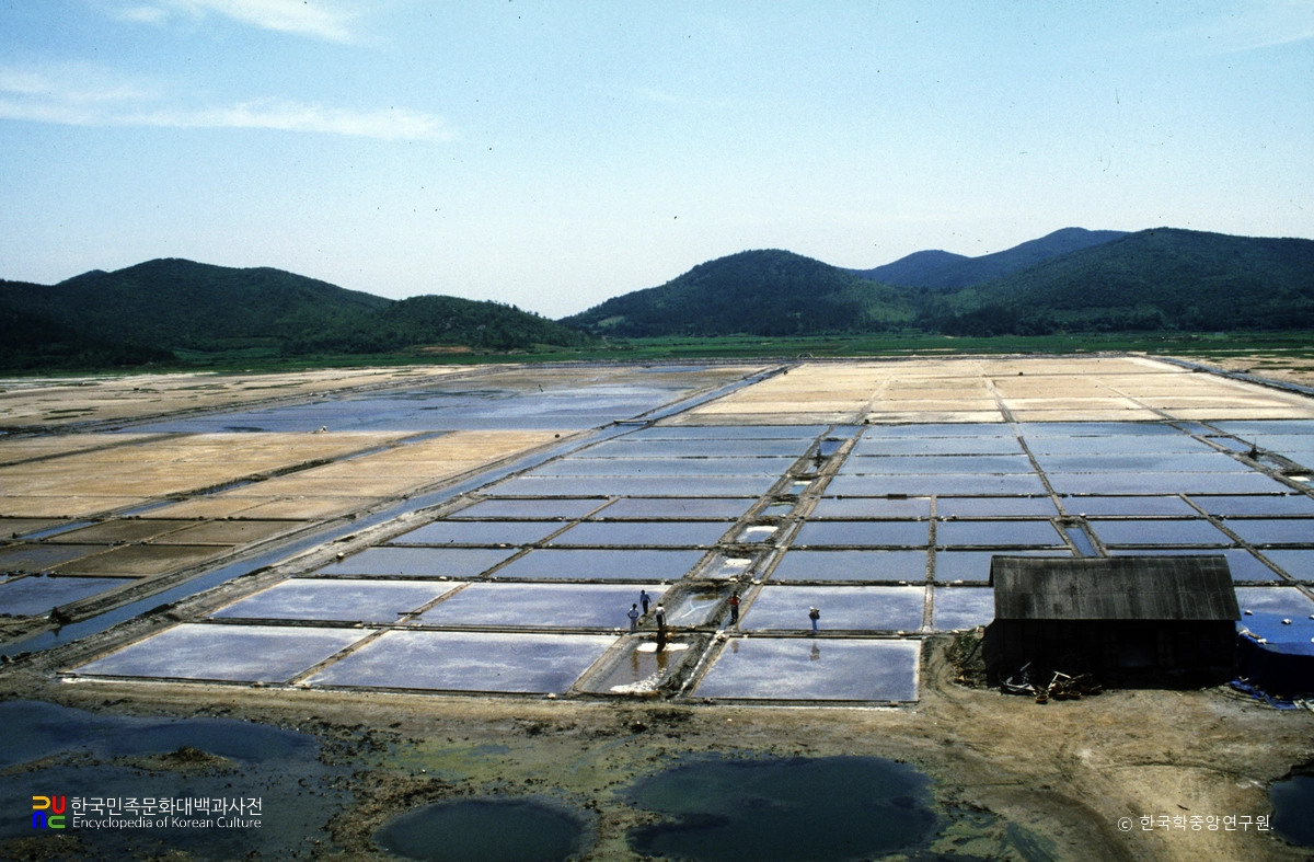 백령도 염전