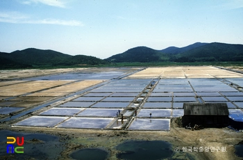 백령도 염전