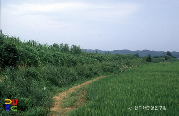 파주 육계토성 성벽