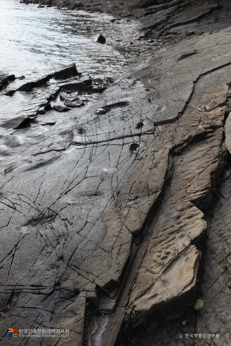 남해 가인리 화석산지