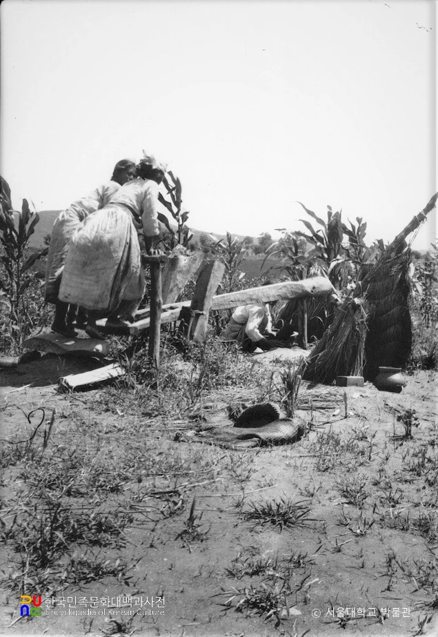 방아를 찧는 모습